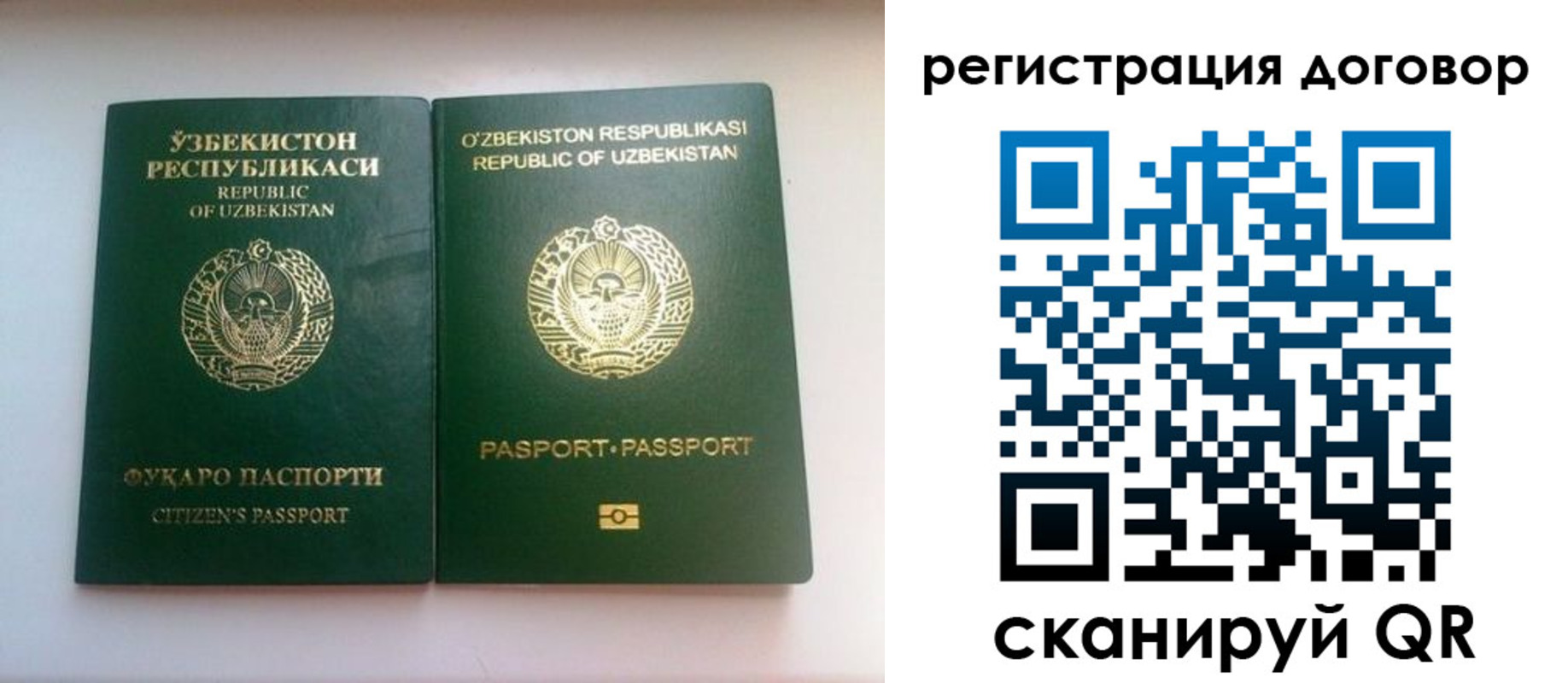 прописка в Новодвинске